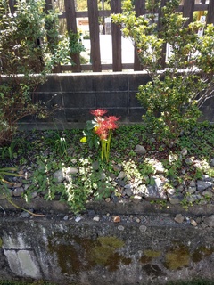 IMAG0004.jpg
