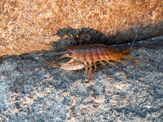 IMAG0454-c0f81.jpg