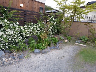 IMAG2759-8c69d.jpg